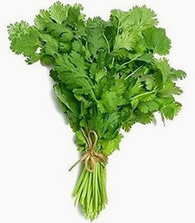 Coriander Leaves - Bunch