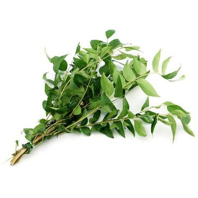 Curry Leaves - Bunch