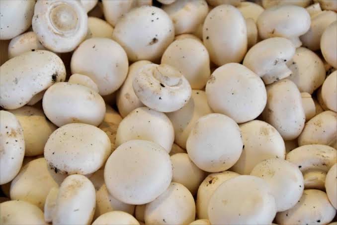 Mushrooms - 250g